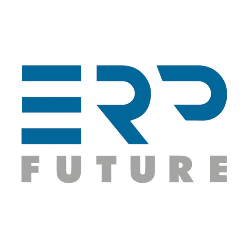 (c) Erp-future.com
